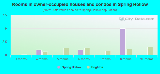 Rooms in owner-occupied houses and condos in Spring Hollow