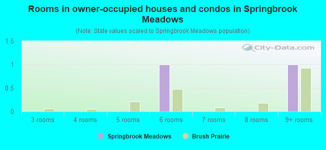 Rooms in owner-occupied houses and condos in Springbrook Meadows