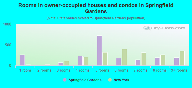 Rooms in owner-occupied houses and condos in Springfield Gardens