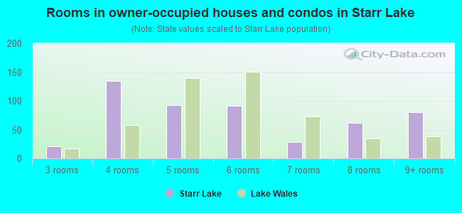 Rooms in owner-occupied houses and condos in Starr Lake