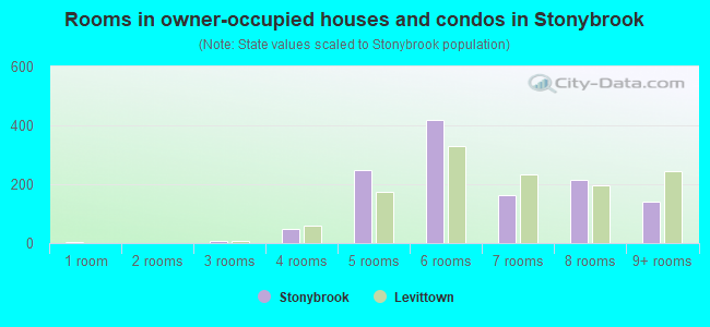 Rooms in owner-occupied houses and condos in Stonybrook