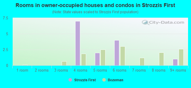 Rooms in owner-occupied houses and condos in Strozzis First