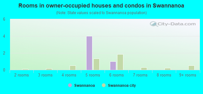 Rooms in owner-occupied houses and condos in Swannanoa