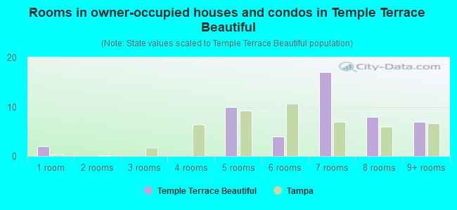Rooms in owner-occupied houses and condos in Temple Terrace Beautiful