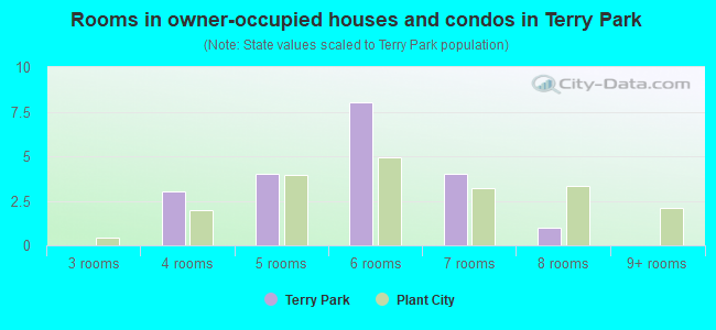 Rooms in owner-occupied houses and condos in Terry Park