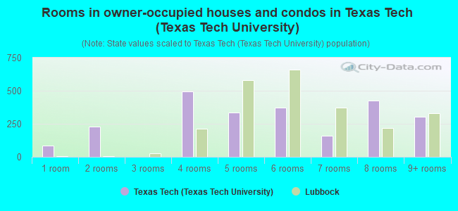 Rooms in owner-occupied houses and condos in Texas Tech (Texas Tech University)