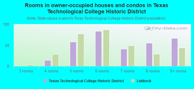 Rooms in owner-occupied houses and condos in Texas Technological College Historic District