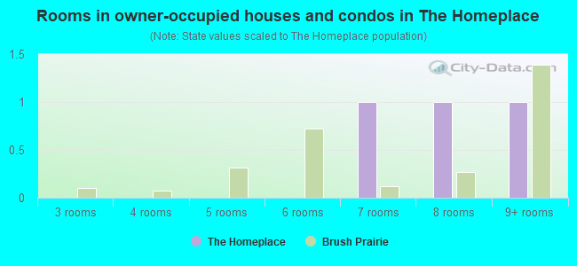 Rooms in owner-occupied houses and condos in The Homeplace