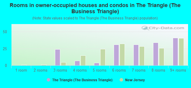 Rooms in owner-occupied houses and condos in The Triangle (The Business Triangle)