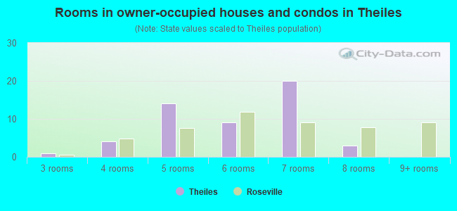 Rooms in owner-occupied houses and condos in Theiles