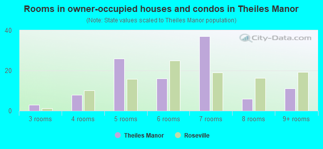 Rooms in owner-occupied houses and condos in Theiles Manor