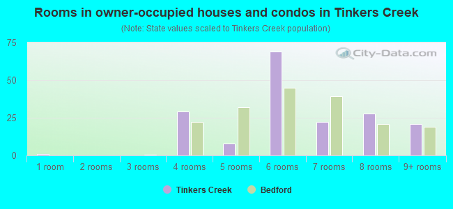 Rooms in owner-occupied houses and condos in Tinkers Creek