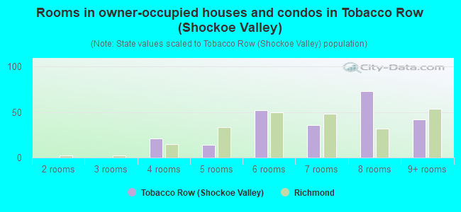 Rooms in owner-occupied houses and condos in Tobacco Row (Shockoe Valley)
