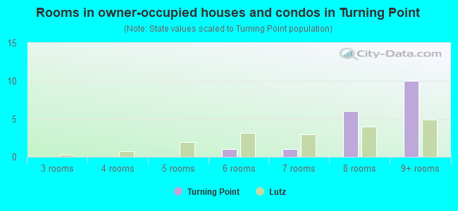 Rooms in owner-occupied houses and condos in Turning Point