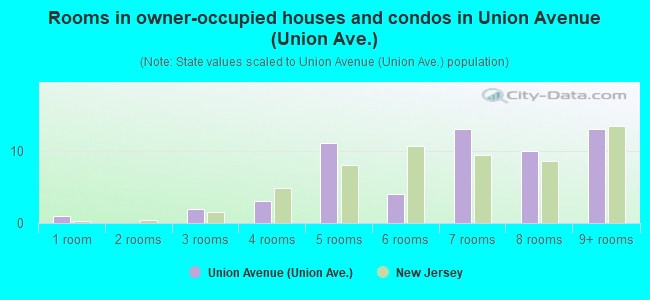 Rooms in owner-occupied houses and condos in Union Avenue (Union Ave.)