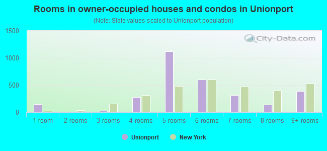 Rooms in owner-occupied houses and condos in Unionport