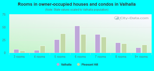 Rooms in owner-occupied houses and condos in Valhalla