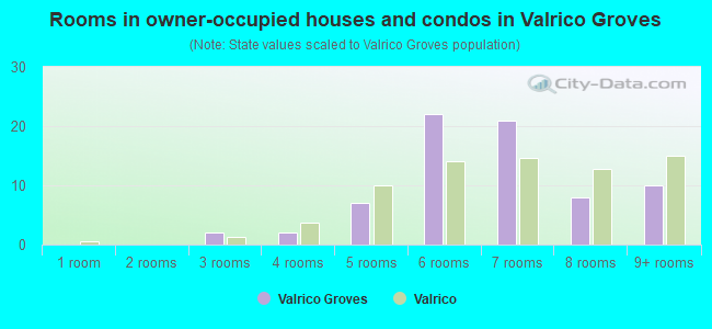 Rooms in owner-occupied houses and condos in Valrico Groves