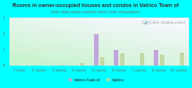 Rooms in owner-occupied houses and condos in Valrico Town of