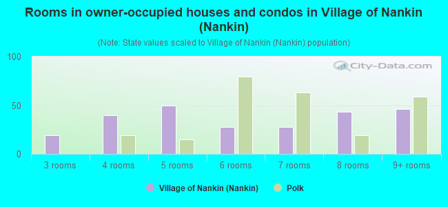 Rooms in owner-occupied houses and condos in Village of Nankin (Nankin)