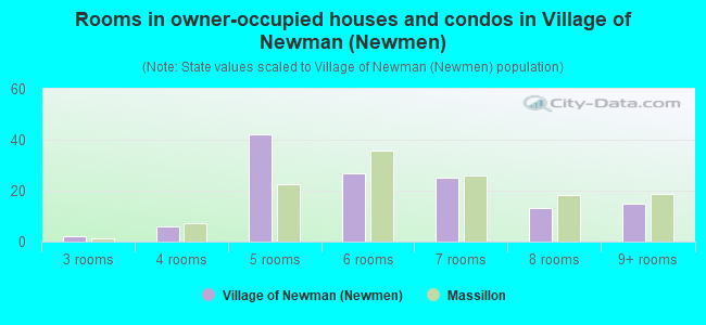 Rooms in owner-occupied houses and condos in Village of Newman (Newmen)