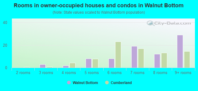 Rooms in owner-occupied houses and condos in Walnut Bottom