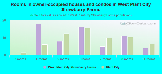 Rooms in owner-occupied houses and condos in West Plant City Strawberry Farms
