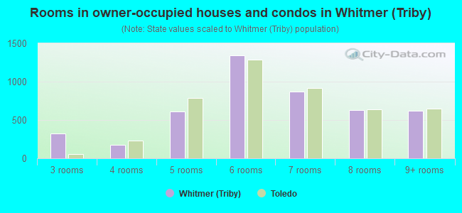 Rooms in owner-occupied houses and condos in Whitmer (Triby)