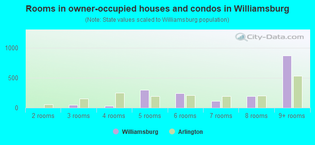 Rooms in owner-occupied houses and condos in Williamsburg