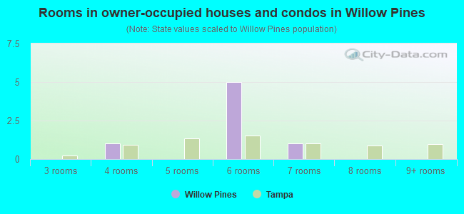 Rooms in owner-occupied houses and condos in Willow Pines