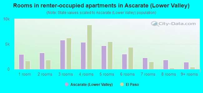 Rooms in renter-occupied apartments in Ascarate (Lower Valley)