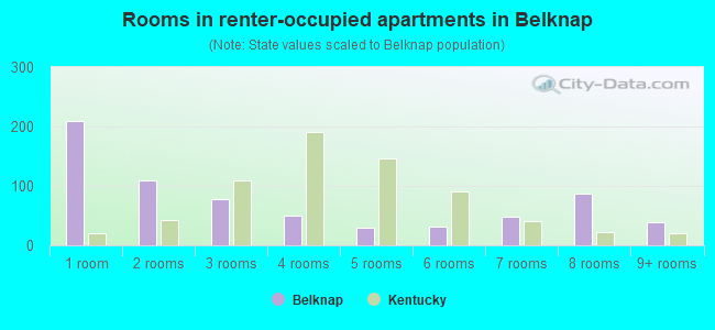Rooms in renter-occupied apartments in Belknap