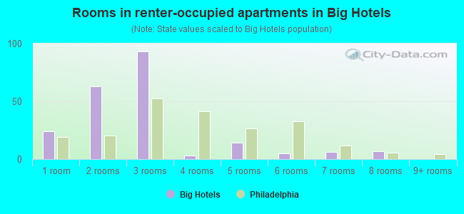 Rooms in renter-occupied apartments in Big Hotels