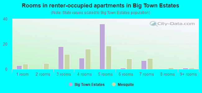 Rooms in renter-occupied apartments in Big Town Estates