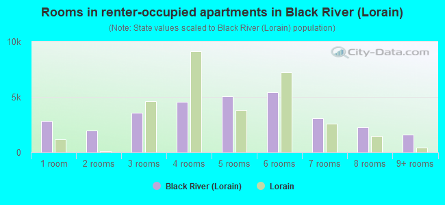 Rooms in renter-occupied apartments in Black River (Lorain)