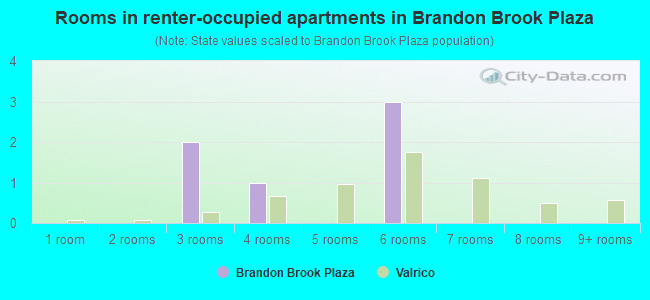 Rooms in renter-occupied apartments in Brandon Brook Plaza