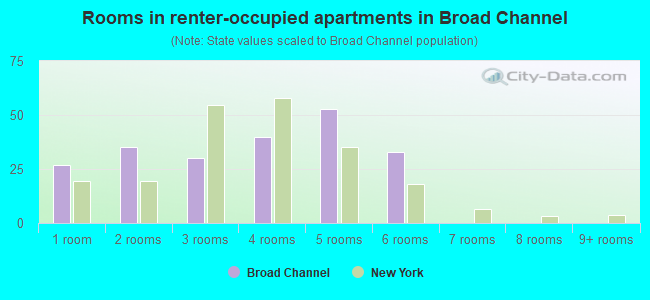 Rooms in renter-occupied apartments in Broad Channel