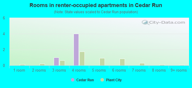 Rooms in renter-occupied apartments in Cedar Run