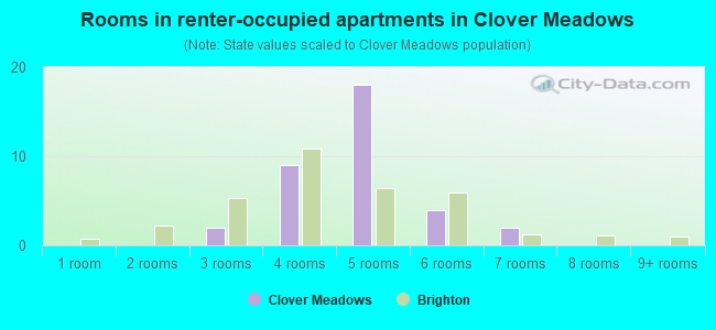 Rooms in renter-occupied apartments in Clover Meadows