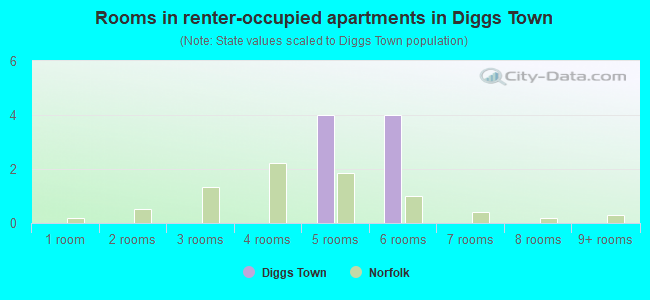 Rooms in renter-occupied apartments in Diggs Town