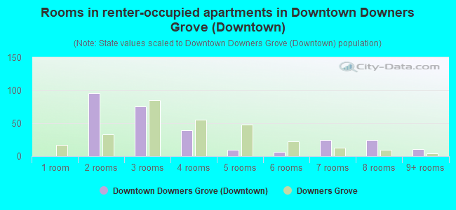 Rooms in renter-occupied apartments in Downtown Downers Grove (Downtown)