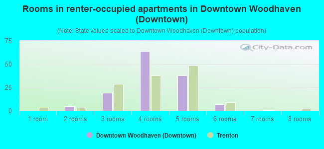 Rooms in renter-occupied apartments in Downtown Woodhaven (Downtown)