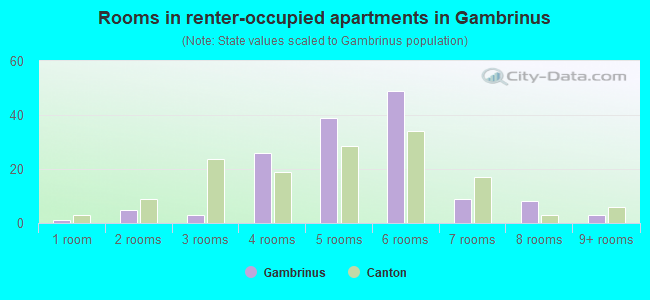 Rooms in renter-occupied apartments in Gambrinus