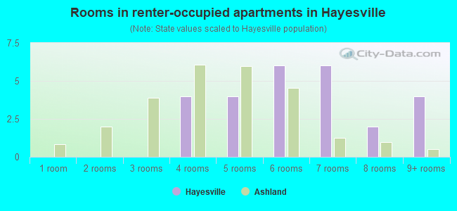 Rooms in renter-occupied apartments in Hayesville