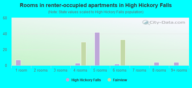 Rooms in renter-occupied apartments in High Hickory Falls