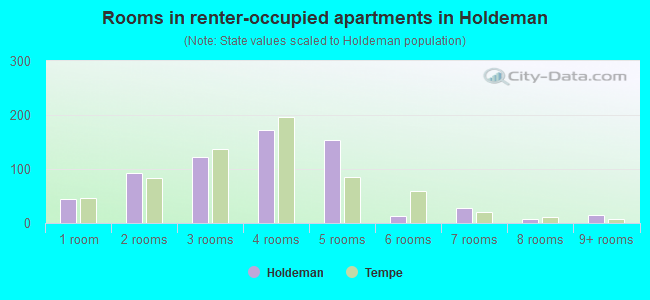 Rooms in renter-occupied apartments in Holdeman