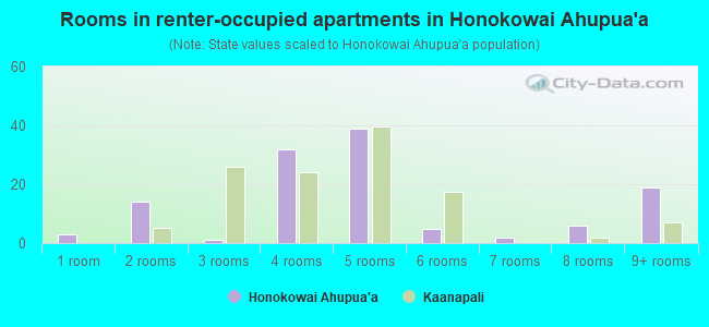 Rooms in renter-occupied apartments in Honokowai Ahupua`a