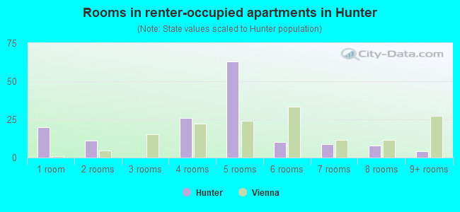 Rooms in renter-occupied apartments in Hunter