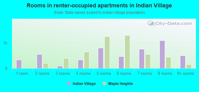 Rooms in renter-occupied apartments in Indian Village