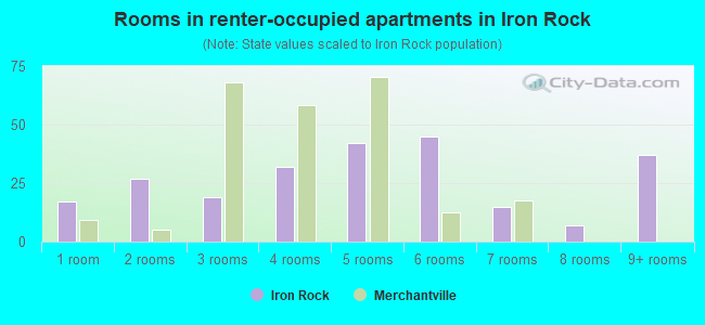 Rooms in renter-occupied apartments in Iron Rock